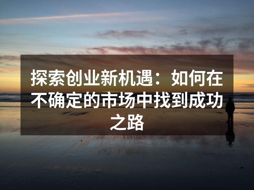 探索创业新机遇：如何在不确定的市场中找到成功之路