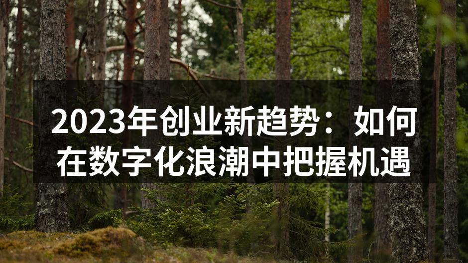 2023年创业新趋势：如何在数字化浪潮中把握机遇